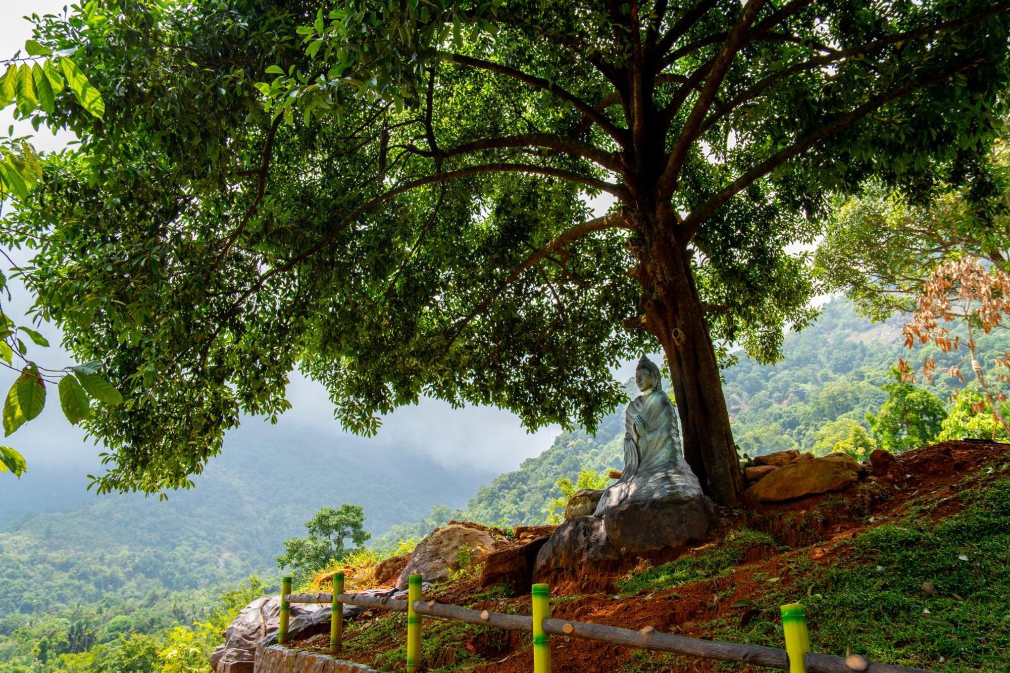Karimb Resorts Vallikavungal エクステリア 写真