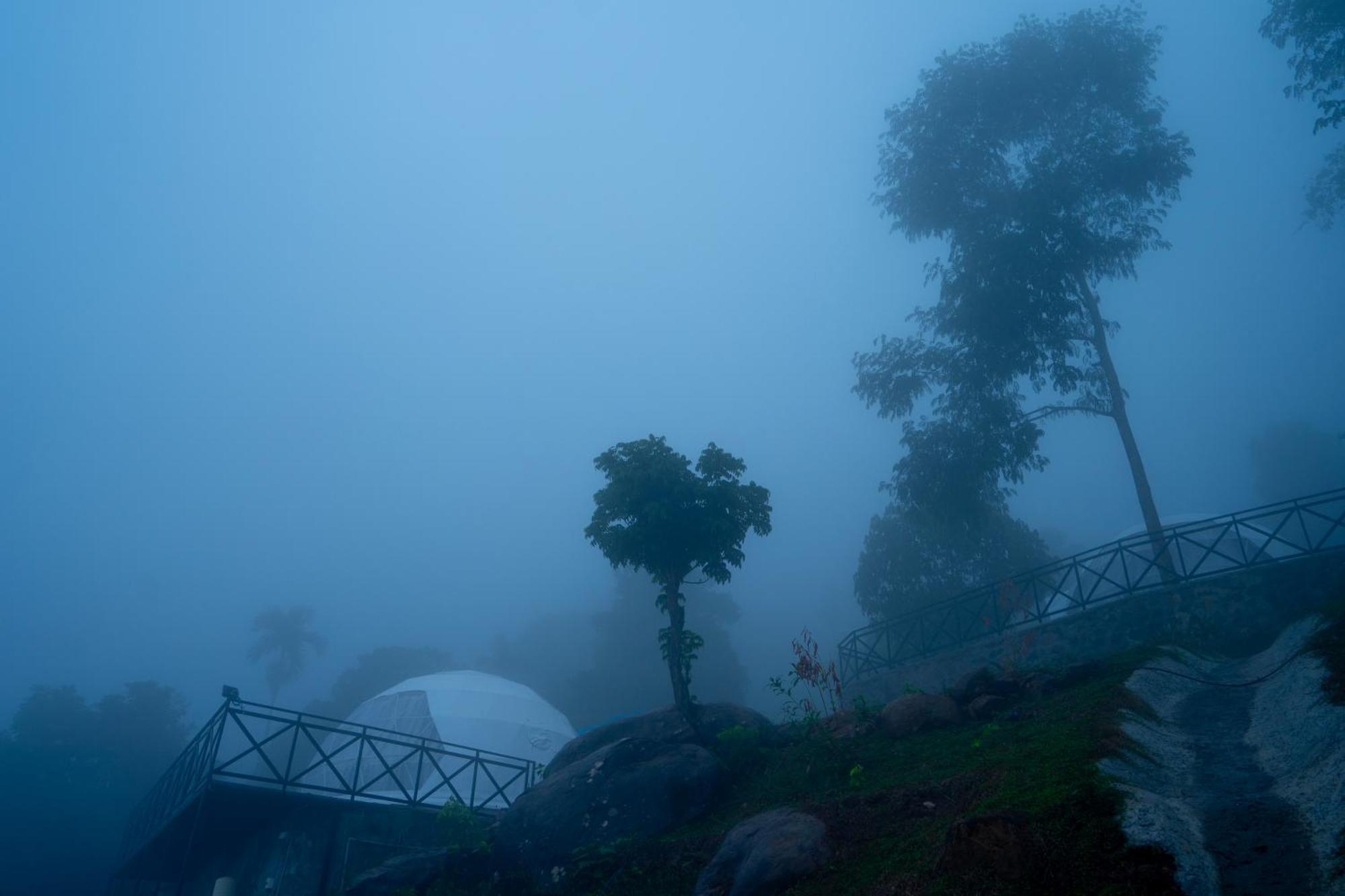 Karimb Resorts Vallikavungal エクステリア 写真